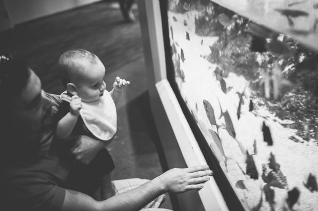 10954199_10153105560485091_8160034996003798228_o