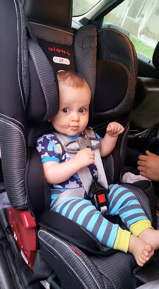 11390053_10153248964415091_9042619518140292236_n