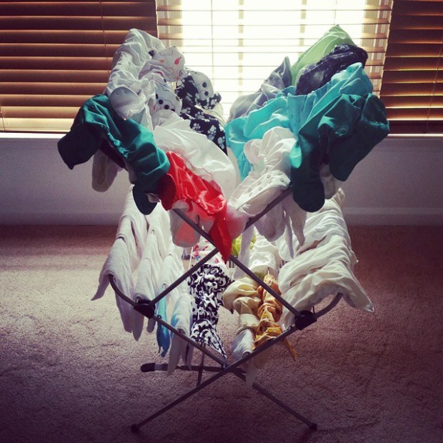 11262109_10153200311775091_7190270824413840713_n