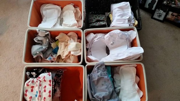 11694891_10153318212225091_3157224312940659918_n