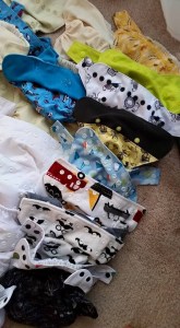 11701018_10153318212290091_8064150498657585731_n