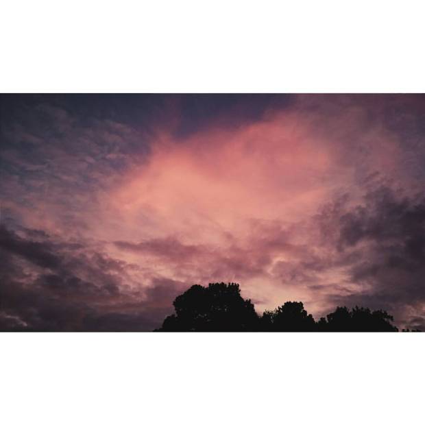 11950223_10153451010575091_7281833167893144255_o