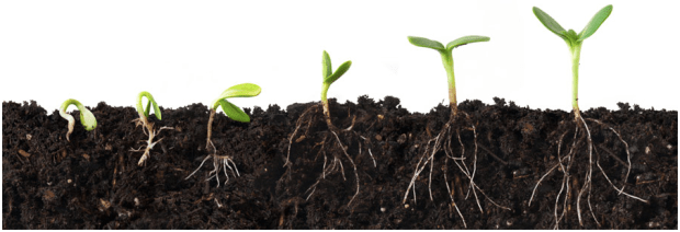 Screen Shot 2017-08-18 at 7.23.04 AM.png