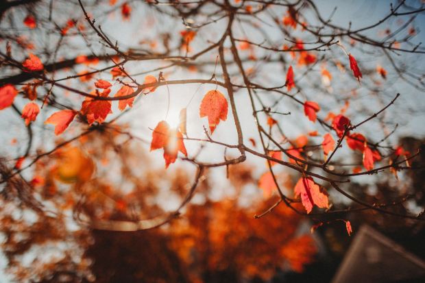 24130521_10155543975115091_3393007413076750237_o